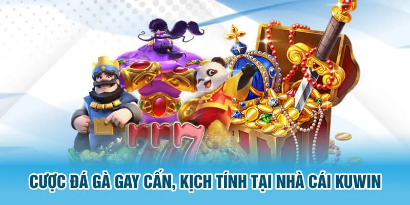 Cược đá gà gay cấn, kịch tính tại nhà cái Kuwin